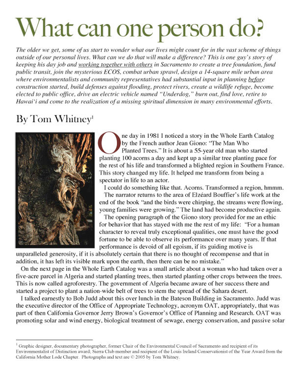 This is a picture of the first page of Tom's 65-page article about his environmental activism in Sacramento. It is mostly text but does have a picture of a face visible in the bark formation of a tree. It looks like an old man talking.